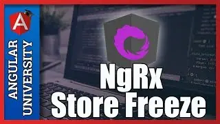 💥 NgRx Store Freeze -  Why make the Store State Immutable?
