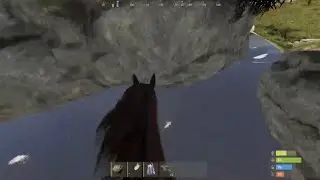 horse glitch