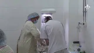 Вітання з Днем медичного працівника від директора КНП 