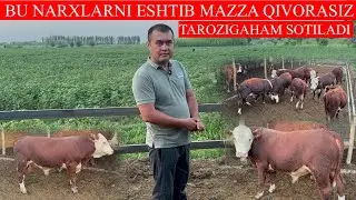 NARXLARNI YONDIRVORDI ABDURAXMON AKA TAROZIGAHAM SOTILADI NARXLAR JUDA ARZON
