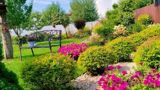 🌿Вырастить Красивый Сад Легко🌸Большой Обзор семян на 2024 год 