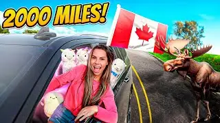 24 HOURS of the Best SUMMER ROADTRIP Florida to Canada!