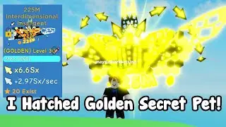 I Hatched A New Golden Secret Pet! Insane!  - Clicker Simulator Roblox