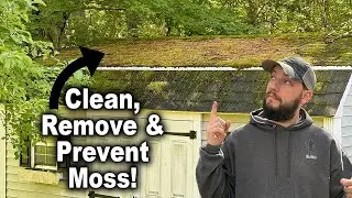 How to Remove Moss from Your Roof | Prevent Future Growth
