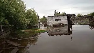 Хряк каннибал напал на человека! В плену у водной стихии. Едим спасать животных!!