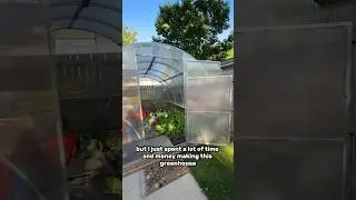 What happened to the goldfish greenhouse?