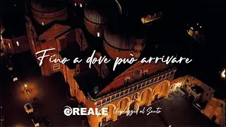 Reale - Fino a dove può arrivare (Unplugged al Santo)