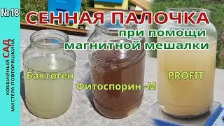 Выращивание сенной палочки на магнитной мешалке. Тест препаратов Бактоген, Фитоспарин-М, Profit