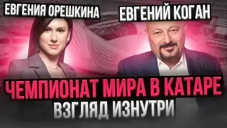 Чемпионат мира в Катаре. Специальный репортаж