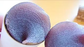 Eating Japanese food "Chikurinji yokan" (ASMR) Sweets