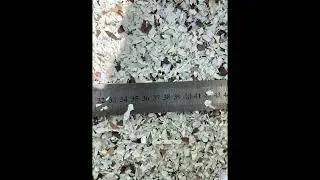 Измельчение МДФ пленки