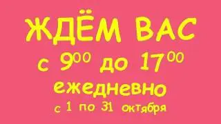 Конфеты1