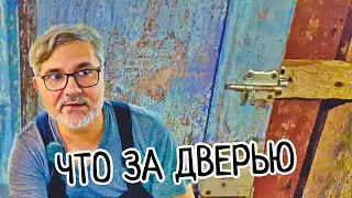 Загадочные двери в подземелье скрывают уникальный мир, где мои цитрусы, лимоны проводят 4 месяца.