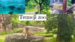 Tennoji zoo vlog