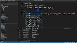Get the file size of a file in Python