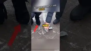 Эта девушка украла деньги у бабушки, но вот что сделала эта собака! 