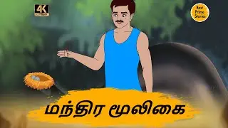 மந்திர மூலிகை - Best prime stories - 4k Tamil kathai - தமிழ் கதைகள் - Tamil Moral Stories