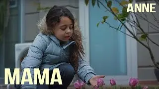 Турецкий сериал Мама Anne обзор содержание