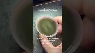 Гудеть умеет не только коробка передач.