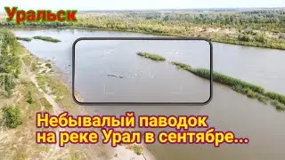 Паводок на реке Урал в сентябре!