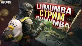 Подписчики получают СР за МВП на турнире  #73 / СТРИМ CODM 