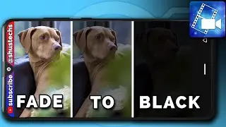 How To Fade To Black with PowerDirector on Android