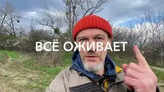 Жизнь это сон? Почему ты не веришь в эту мысль?