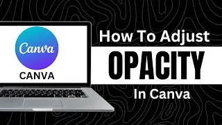 How To Adjust Opacity In Canva