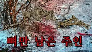 러시아에서 4년을 키워준 주인을 잡아먹은 반려동물 사고