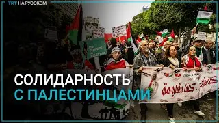 В разных странах мира провели марши солидарности с палестинцами