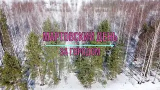 Мартовский день за городом | Весна, март, весенняя природа, весенний лес с высоты