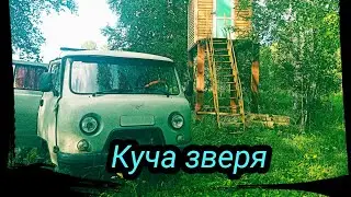 Куча коз, чудо зверь))  Сезон 2021 серия 4.