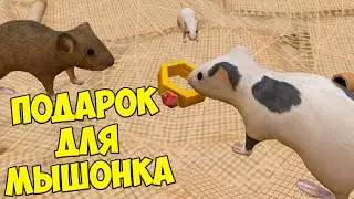 😍СИМУЛЯТОР МЫШИ🐁 Подарки для мышонка Ухаживаю за питомцем