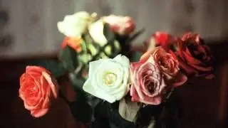 Дима Билан ~ Я тебя помню