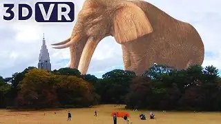 [VR180 3D] Giant elephant | VR VIDEO