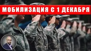 Мобилизация с 1 декабря: новые полномочия ТЦК и СП, снижение возраста?