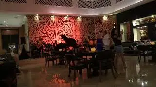 Republica Dominicana. Occidental Punta Cana 5*. ВЕЧЕР. МУЗЫКА ИГРАЕТ