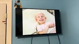 Opening To Babe Pig In The City 1999 VHS