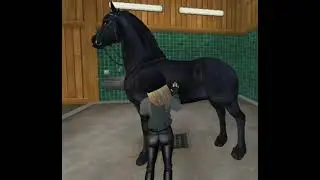 Star Stable типа реальная жизнь