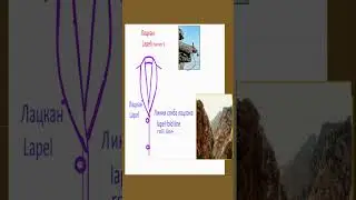 Collar notch gorge line how to understand 