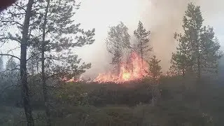 Тайга горит,Карелия!!! 2.08.18