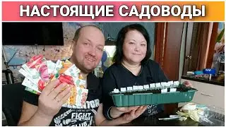 Посев помидор на рассаду🍅/Когда сеять помидоры на рассаду👍/Как сеять помидоры/Рассада томатов/Влог!
