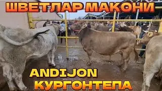 ШВЕТЛАР МАКОНИ АНДИЖОН КУРГОНТЕПА НАРХЛАРИ 27.10.2024