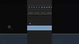 The Tool Bar - The Zoom Tool - Learning Premiere Pro 2024 