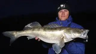 НАДО ВИДЕТЬ! БЕЗОТКАЗНАЯ ПРИМАНКА НА СУДАКА! (Рыбалка на Пруду)