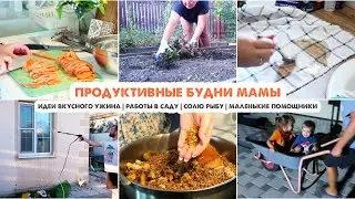 БУДНИ МАМЫ👩Ленивые вареники😋Убрали клубнику🍓3 блюда на ужин🥘Дела в саду✔️Не повезло с рыбой🙈