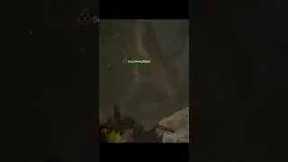 Типичный Sea of thieves 2 #seaofthieves #rocketpirate