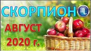 ♏ СКОРПИОН. 🌴 🍹 АВГУСТ 2020 г. 🌌 ТАРО ПРОГНОЗ ГОРОСКОП 🌠