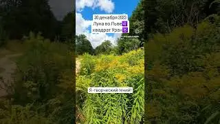 #астрология
