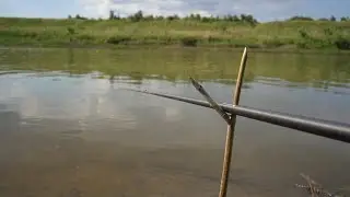 Вода кипит на глубине 30 см. Щука кидается за рыбой. Дочка как всегда облавливает. Рыбалка  2023